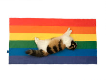Load image into Gallery viewer, Rainbow Flag Microfiber Quick Dry Bath Towel LGBTQ+
